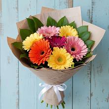 Букет цветов из:  Герберы #REPLACE_PRED# Зеленогорском