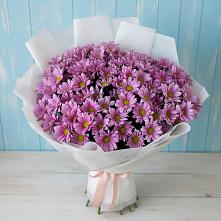 Букет цветов из:  Хризантемы в Зеленогорском