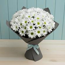 Букет цветов из:  Хризантемы #REPLACE_PRED# Зеленогорском