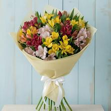 Букет цветов из:  Альстромерии в Зеленогорском
