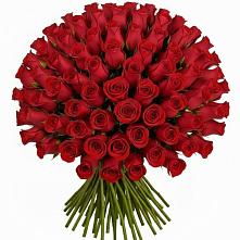 Букет Красные розы Чери Лав в Зеленогорском
