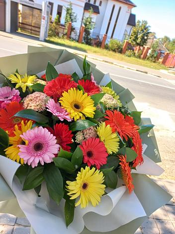 Букет цветов из: Герберы в Зеленогорском